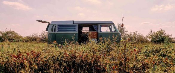 Vw Bus in einer Wiese